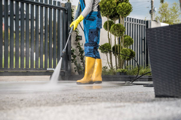 Best Affordable Power Washing  in Wickliffe, OH